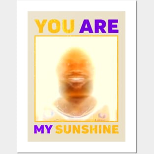 James Meme You Are My Sunshine Posters and Art